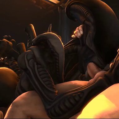 alien (franchise), male xenomorph, xenomorph, rayhuma, 2boys, blowjob, feet, feet up, fellatio, gay, gay blowjob, handholding, human, human on male, human penetrating