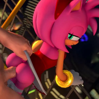 sega, sonic the hedgehog (series), amy rose, meklab, ass, balcony, big penis, bottomwear, building, city, clothing, duo, eulipotyphlan, female, genitals