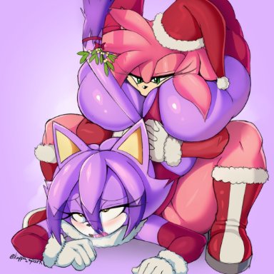 sega, sonic (series), sonic the hedgehog (series), amy rose, blaze the cat, kappa spark, anthro, ass, big butt, biped, blazamy, clothed, clothing, domestic cat, duo