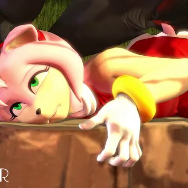 sonic (series), amy rose, smoaer, anthro, anthro on anthro, anthro penetrated, ass, bouncing butt, 3d, animated, mp4, sound, tagme, video