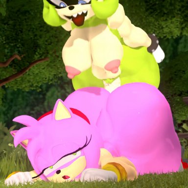 sonic (series), amy rose, surge the tenrec, leviantan581re, ambiguous penetration, areola, big breasts, big butt, dickgirl, erect nipples, erection, female, furry, futanari, nipples