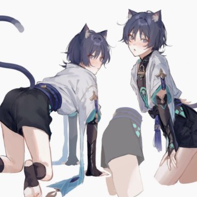 genshin impact, scaramouche (genshin impact), auauun, 1boy, all fours, bent over, blue eyes, blue hair, cat ears, cat humanoid, cat tail, catboy, femboy, male, male only