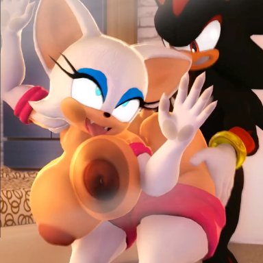 sega, sonic (series), sonic the hedgehog (series), rouge the bat, shadow the hedgehog, chloeangelva, countersfm, spudninja, thekaimaster07, 1boy, 1boy1girl, 1girls, against glass, ahe gao, ambiguous penetration