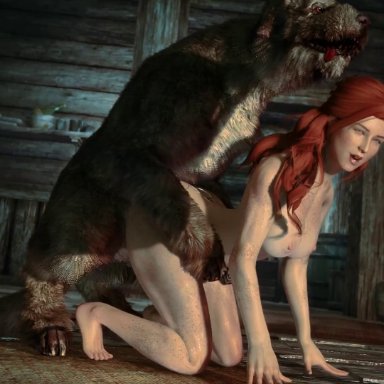 skyrim, lara89, canine, dog, knot, red hair, wolf, zoophilia, 3d, animated, mp4, sound, tagme, video