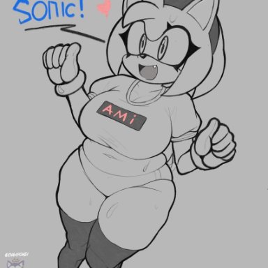 sega, sonic (series), sonic the hedgehog (series), amy rose, champchidi, 1girls, diadem, eyelashes, fangs, female, female anthro, female furry, female only, furry, gloves