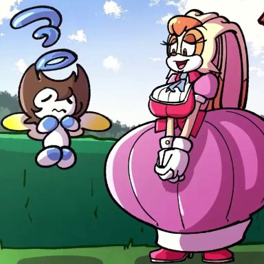 sonic (series), sonic the hedgehog (series), chao (sonic), vanilla the rabbit, lewdheart, sachasketchy, 1girls, 1male, anal sex, anthro, anthro female, areola, areolae, ass, balls