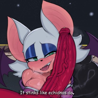 sonic (series), sonic the hedgehog (series), knuckles the echidna, rouge the bat, neo hajime, 1boy, 1girls, anthro, ass, balls, bat, bat earrings, bat wings, big breasts, big penis