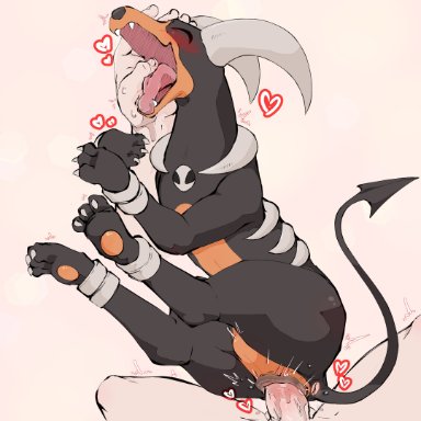 nintendo, pokemon, generation 2 pokemon, houndoom, pokemon (species), aka leopard, 5 fingers, anus, arm grab, black body, black fur, black nose, blush, blush lines, bodily fluids