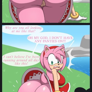 sega, sonic (series), sonic adventure, sonic the hedgehog (series), amy rose, chao (sonic), roga14, 1girls, 3others, accidental exposure, all fours, anthro, ass, boots, bottomless