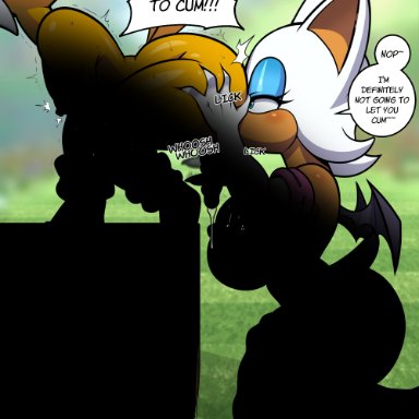 sega, sonic the hedgehog (series), rouge the bat, lollipopcon, age difference, anal, anthro, bat, canid, canine, duo, female, fox, handjob, male