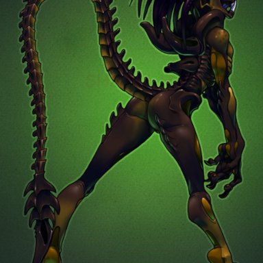 alien (franchise), alien vs predator, predator (franchise), female xenomorph, predalien, xenomorph, astrozerk, alien, alien girl, ass, athletic female, big ass, female, female only, full length