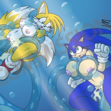 sega, sonic (series), sonic adventure, sonic the hedgehog (series), chaos (sonic), sonic the hedgehog, tails, tailsko, pherociouseso, anthro, beige skin, black nose, blue eyes, blue fur, blue hair