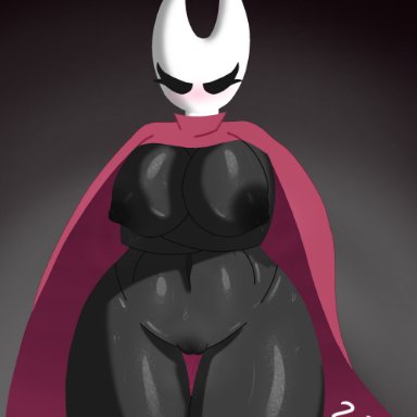 hollow knight, team cherry, hornet (hollow knight), 2vv7, areola, big breasts, black areola, black nipples, black pussy, blush, breasts, cloak, clothing, female, front view