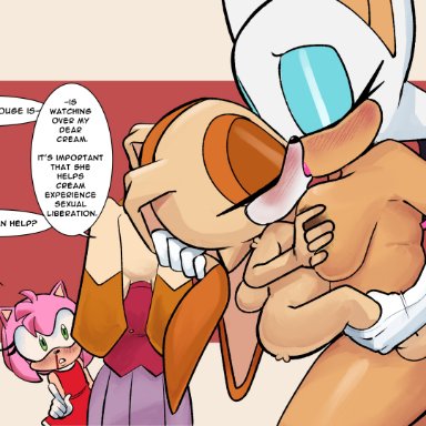 sega, sonic (series), sonic the hedgehog (series), amy rose, cream the rabbit, mobian (species), rouge the bat, vanilla the rabbit, sin-buttons (artist), 2girls, 4girls, age difference, anthro, anthro on anthro, anthro only