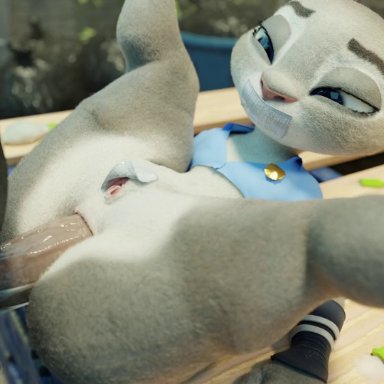 zootopia, judy hopps, snips456fur, 1boy, 1boy1girl, 1girl, anal, anal penetration, anal sex, anthro, anthro penetrated, big butt, curvy figure, desk, female penetrated