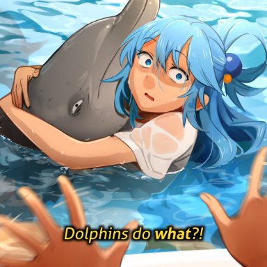 aqua (konosuba), khyleri, 1girls, 1other, animal, aqua eyes, aqua hair, blue eyes, blue hair, dolphin, human, imminent bestiality, imminent rape, imminent sex, imminent zoophilia