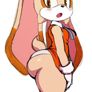 sega, sonic (series), sonic the hedgehog (series), cream the rabbit, sssonic2, aged up, animal ears, anthro, ass, bare legs, big ass, bottom heavy, bottomless, bottomless skirt, breasts