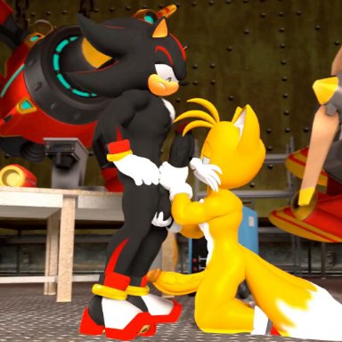 sonic (series), shadow the hedgehog, plumenjoyerse, silvertilver, anal, anal sex, anthro, ball fondling, balls, blowjob, cum, cumshot, deepthroat, duo, erection