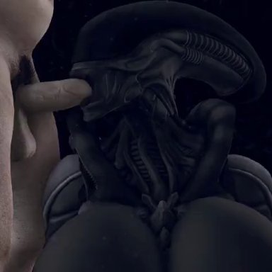 alien (franchise), xenomorph, rayhuma, 1boy, 1girls, alien, alien girl, athletic female, big breasts, blowjob, fellatio, huge breasts, human, human on alien, human on humanoid