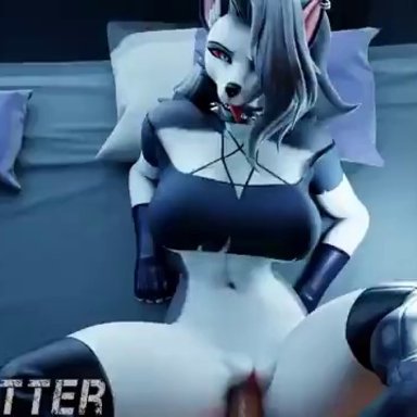 helluva boss, loona (helluva boss), wigfritter, anthro, bed, bra, choker, feet, female moaning, fur, furry, grey hair, hellhound, male human/female anthro, male pov