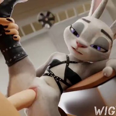 disney, zootopia, judy hopps, wigfritter, 1girls, anthro, anthro female, anthro focus, anthro on anthro, anus, arm grab, ass, ass focus, athletic female, bent over