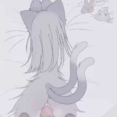 1boy, cabbit, cat ears, female, furry, grey fur, male/female, tatososu, 2tails, animated, sound, tagme, video